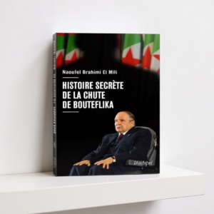Histoire secrète de la chute de Bouteflika