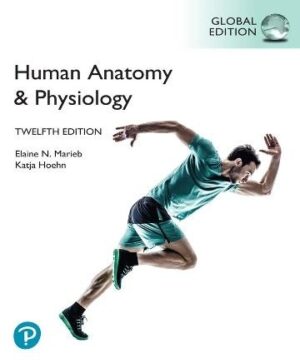 Human Anatomy & Physiology – 12th Global Edition